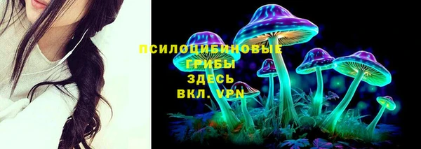 герыч Алзамай