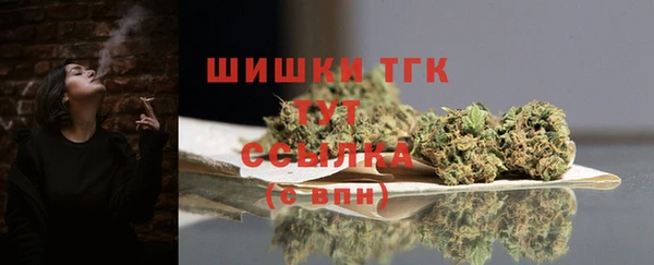 дживик Инсар
