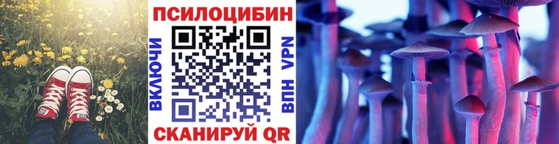 Купить закладки  Никольское  Галлюциногенные грибы прущие грибы 